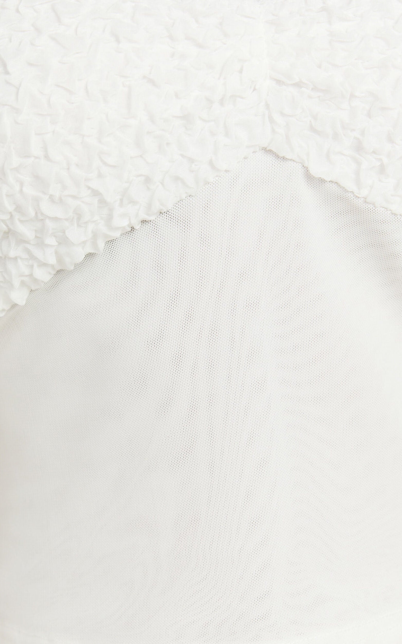 Lioness - Dancer Cami in Snow