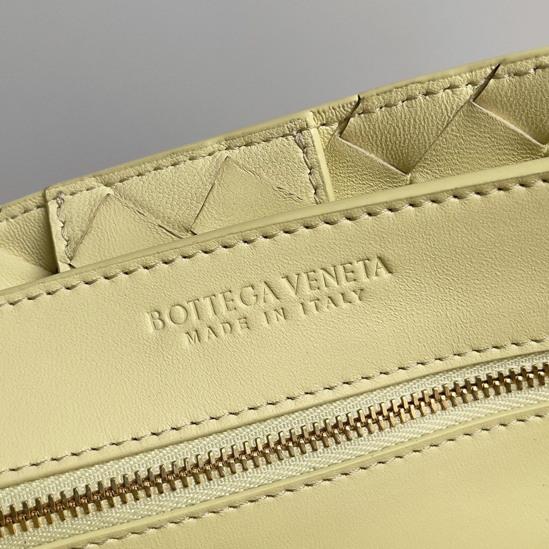 Fake Bottega Veneta Medium Andiamo Bag Ice Cream