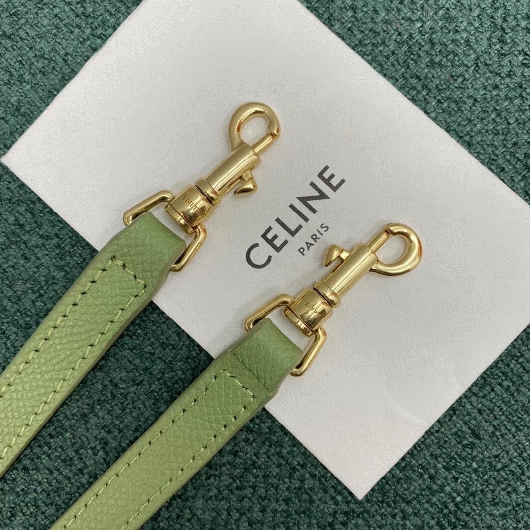 Celine Belt Nano Bag Fake in Sage