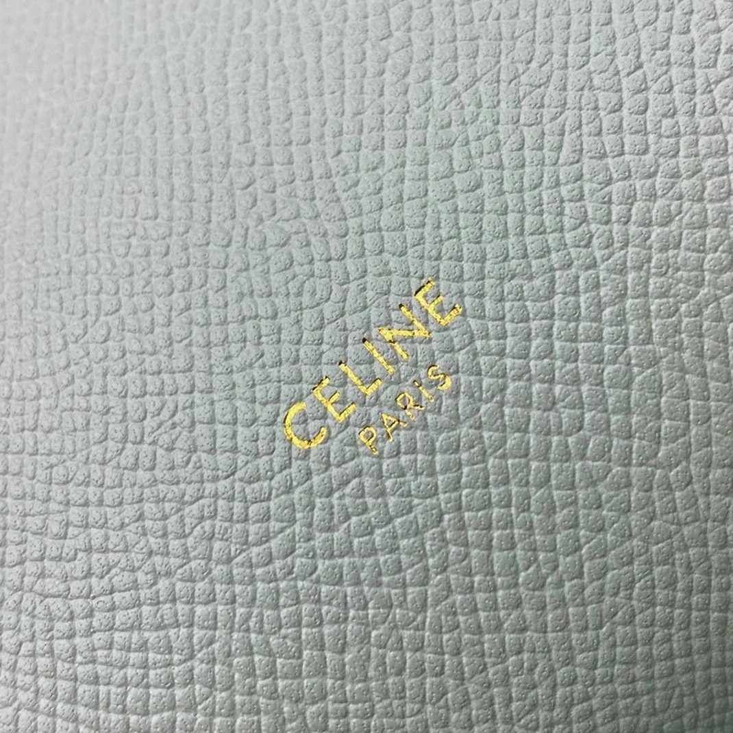 Celine Micro Belt Bag Knockoff in Vert D eau