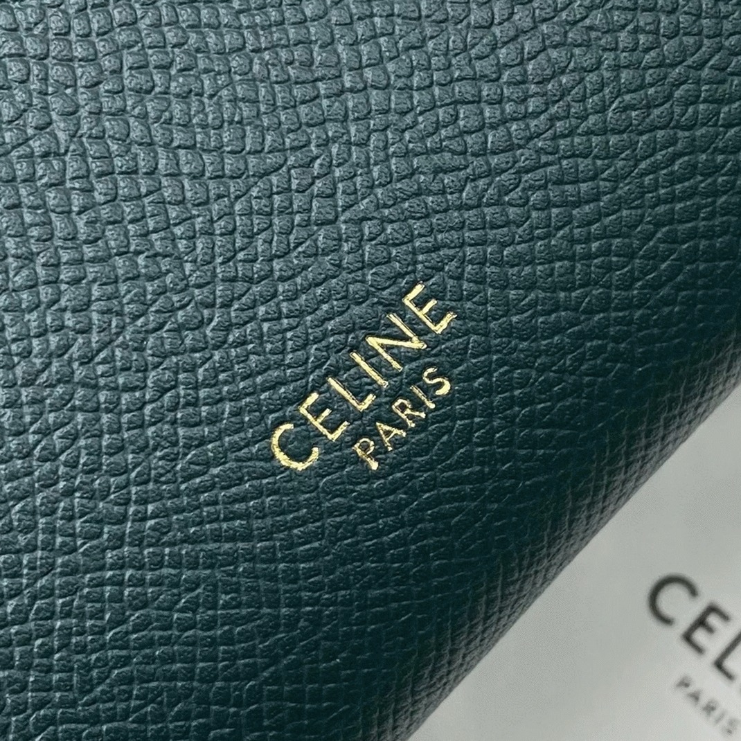 Celine Belt Nano Bag Fake in Amazone