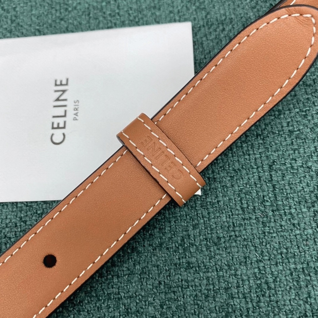 Top Quality Faux Celine Triomphe Medium Bag In Brown