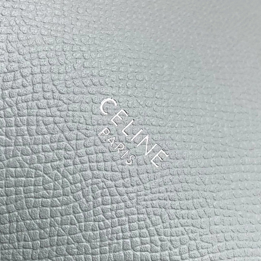 Celine Micro Belt Bag Replica in Mineral