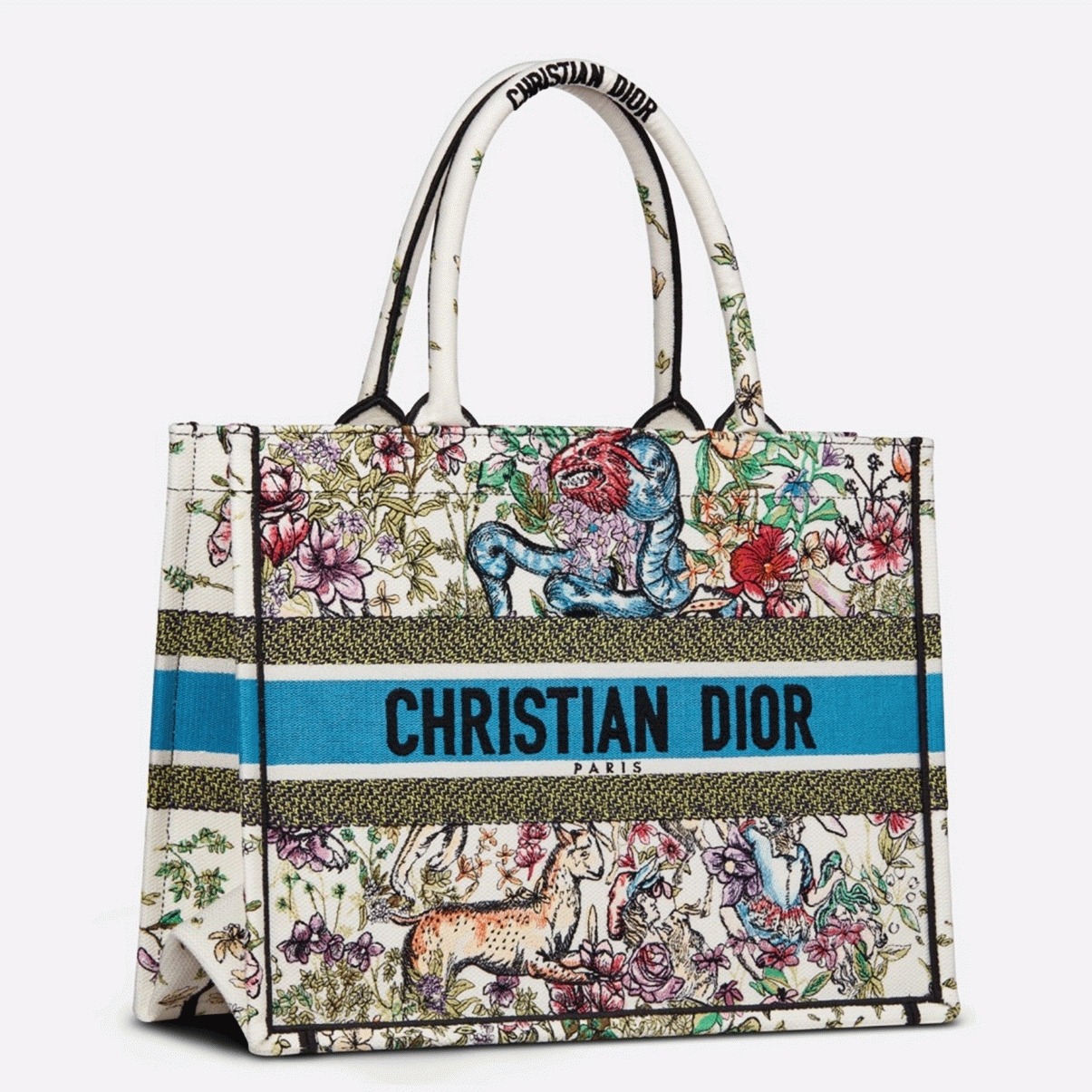 Dior Large Book Tote Bag Knockoff in Latte D-Constellation Embroidery