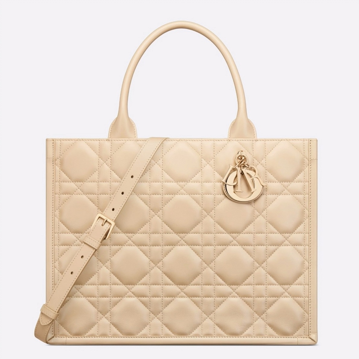 Dior Medium Book Tote Bag Fake with Strap in Beige
