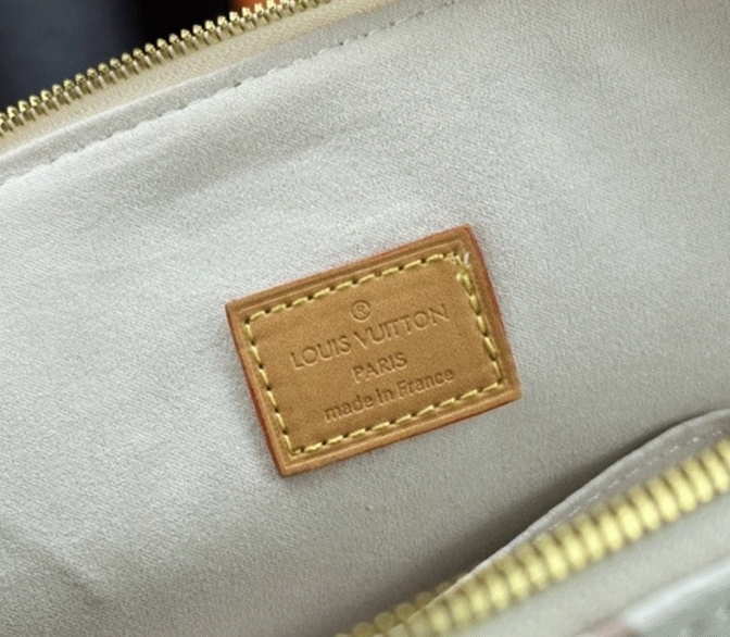 Louis Vuitton Monogram Dune Canvas Alma PM Bag