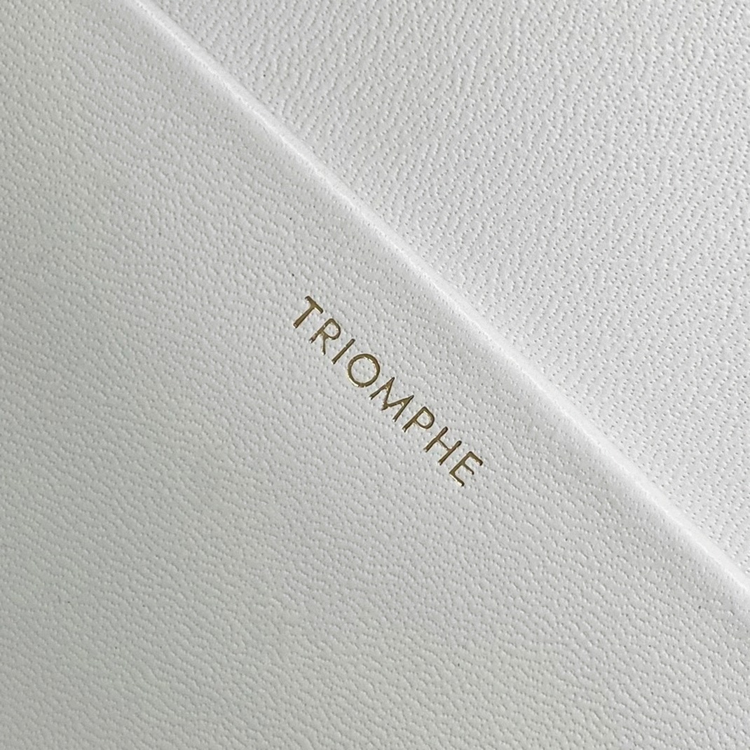 Top Quality Replica Celine Triomphe Medium Bag In White