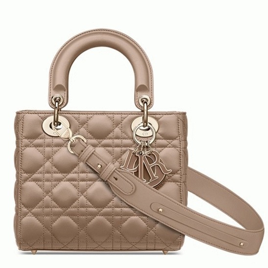 Dior Small Lady Dior My ABCDior Bag Fake in Warm Taupe