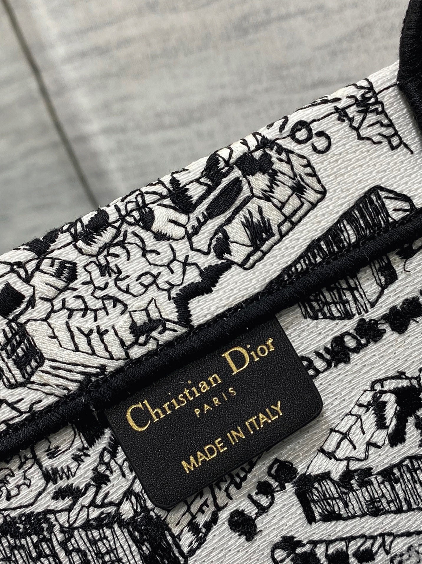 Dior Large Book Tote Bag Knockoff in White Plan de Paris Embroidery