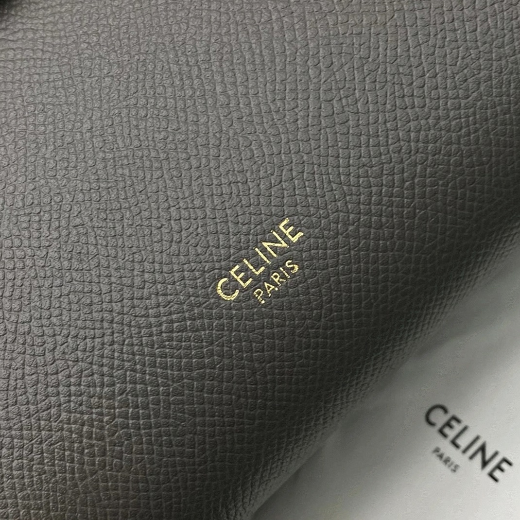 Celine Belt Nano Bag Fake in Grey