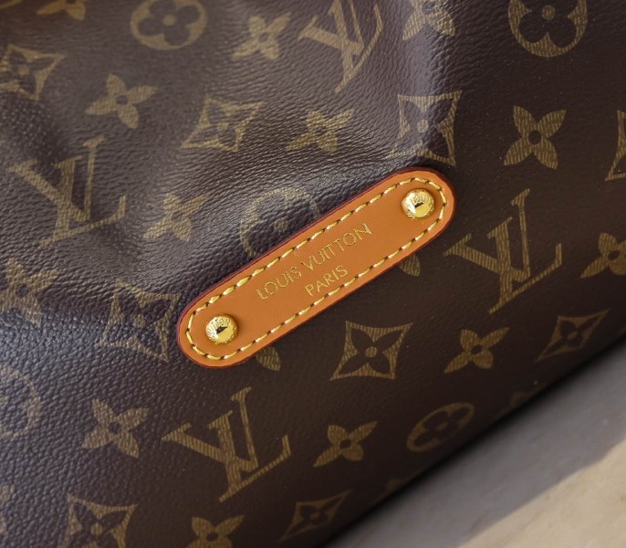 LV Monogram Canvas Vagabond Hobo