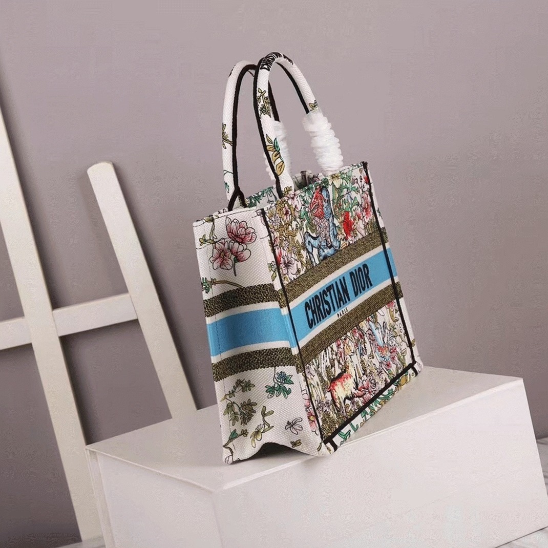 Dior Large Book Tote Bag Knockoff in Latte D-Constellation Embroidery