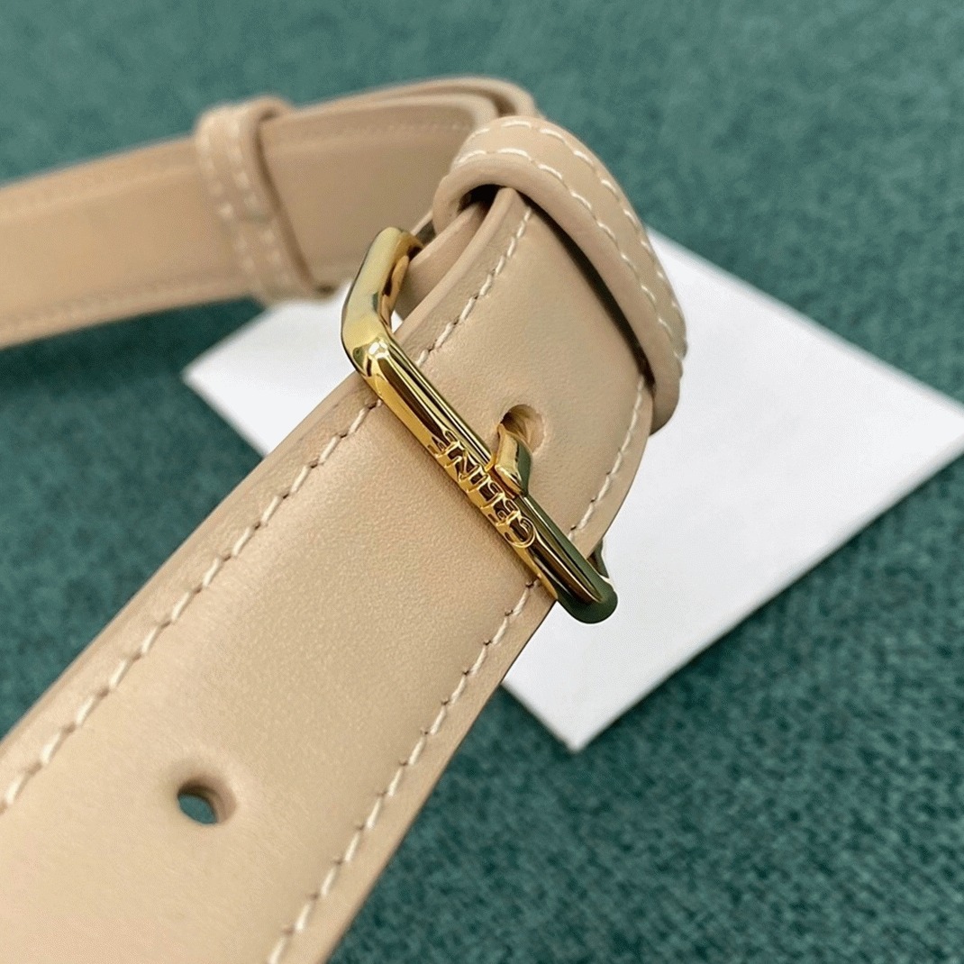Top Quality Imitation Celine Triomphe Medium Bag In Nude
