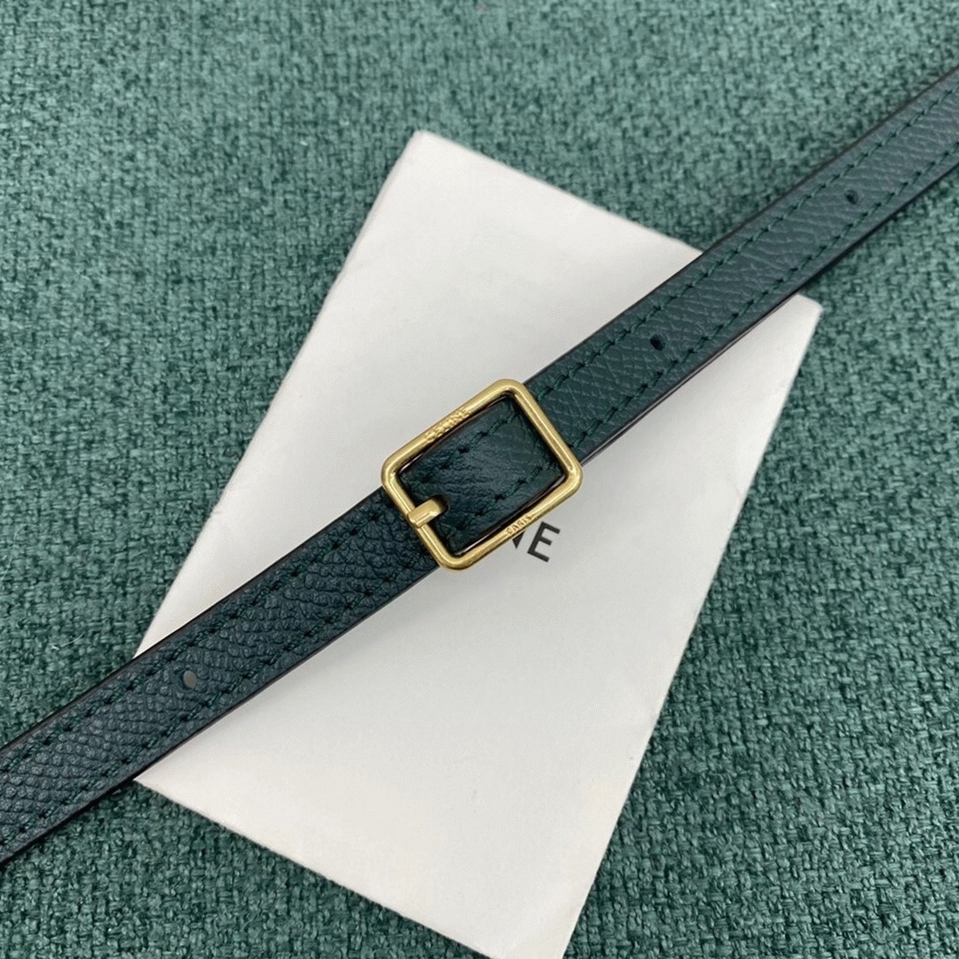 Celine Belt Nano Bag Fake in Amazone