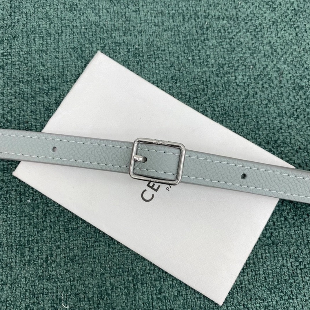 Celine Belt Nano Bag Replica in Mineral