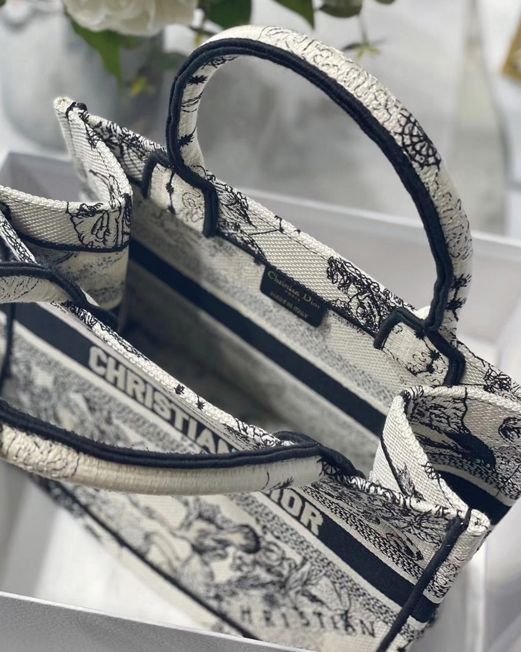 Dior Small Book Tote Bag Faux in White Toile de Jouy Zodiac Embroidery