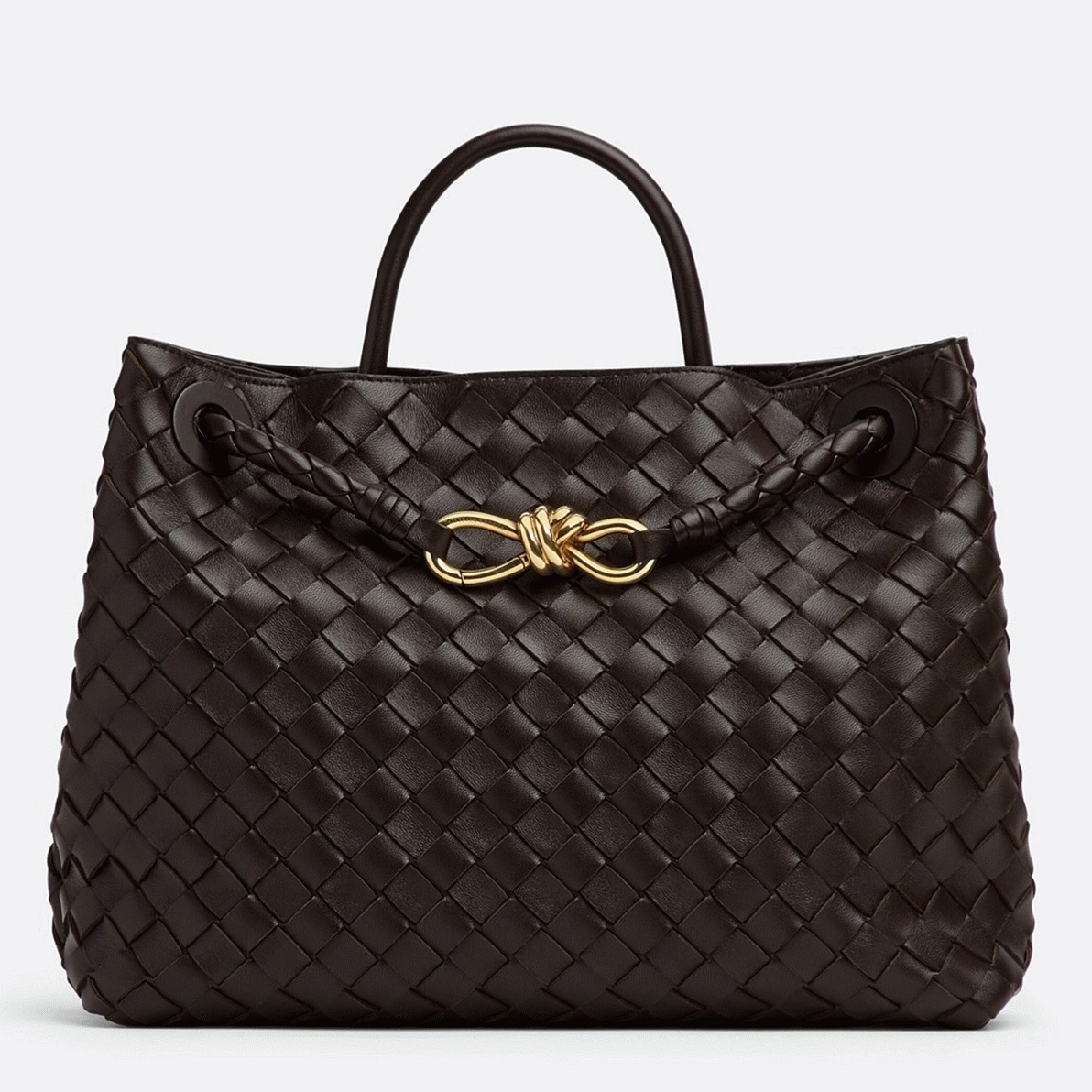 Fake Bottega Veneta Medium Andiamo Bag Fondant