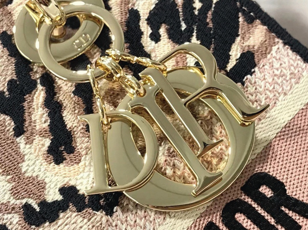 Dior Lady D-Lite Medium Bag Fake in Multicolor Tie Embroidery