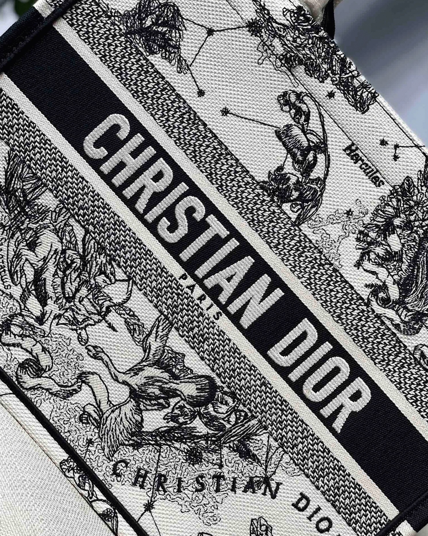 Dior Large Book Tote Bag Replica in White Toile de Jouy Zodiac Embroidery