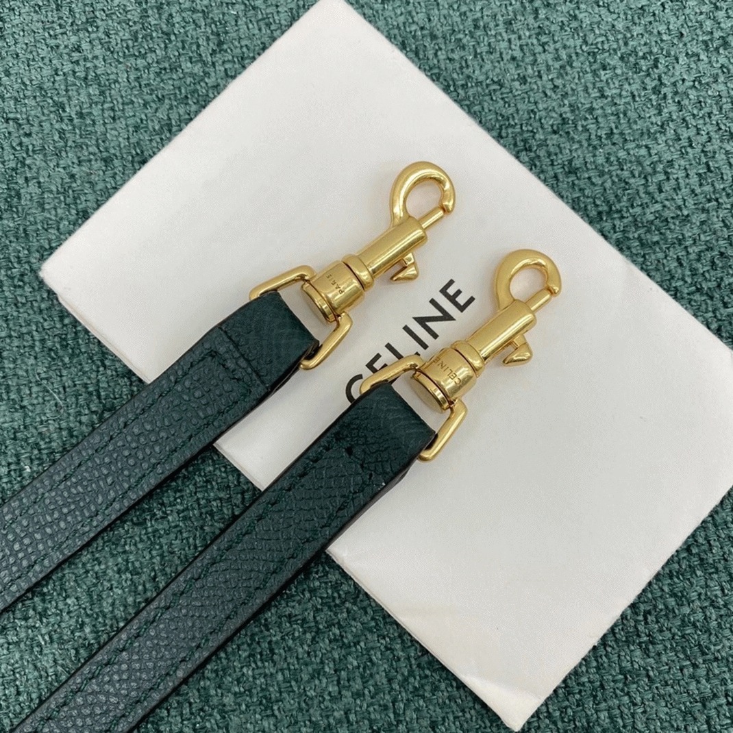 Celine Belt Nano Bag Fake in Amazone
