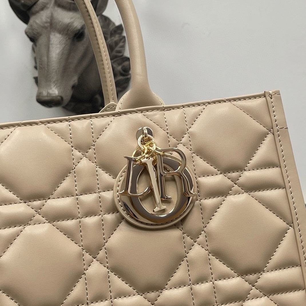 Dior Medium Book Tote Bag Fake with Strap in Beige