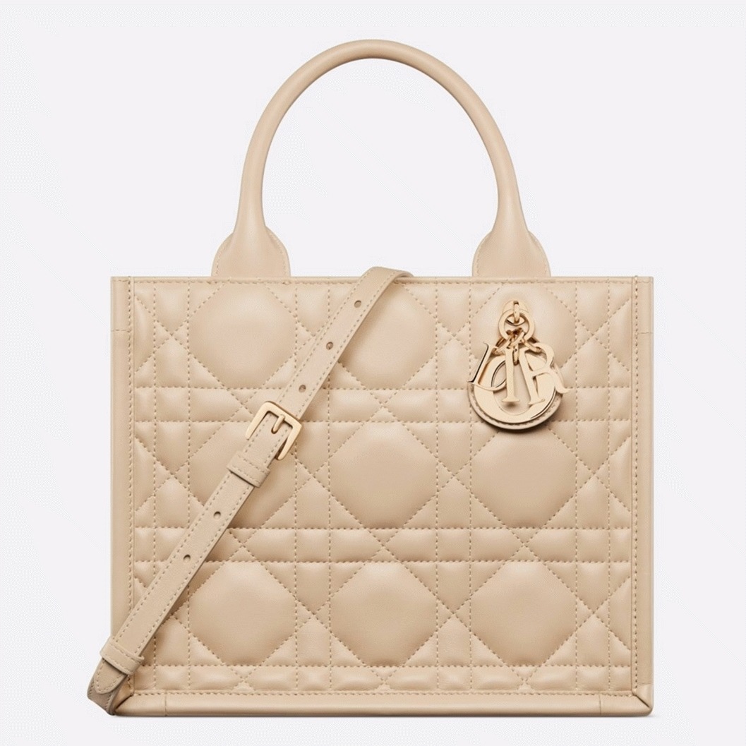 Dior Small Book Tote Bag Replica with Strap in Beige