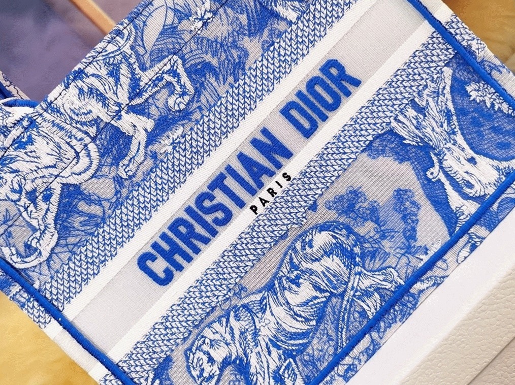 Dior Large Book Tote Bag Fake in Blue Transparent Toile de Jouy Canvas