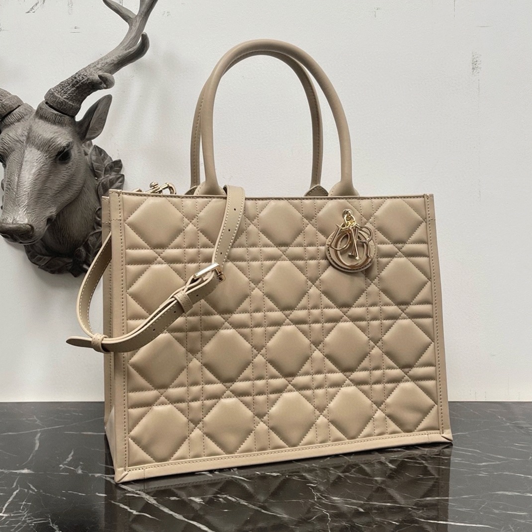 Dior Medium Book Tote Bag Fake with Strap in Beige