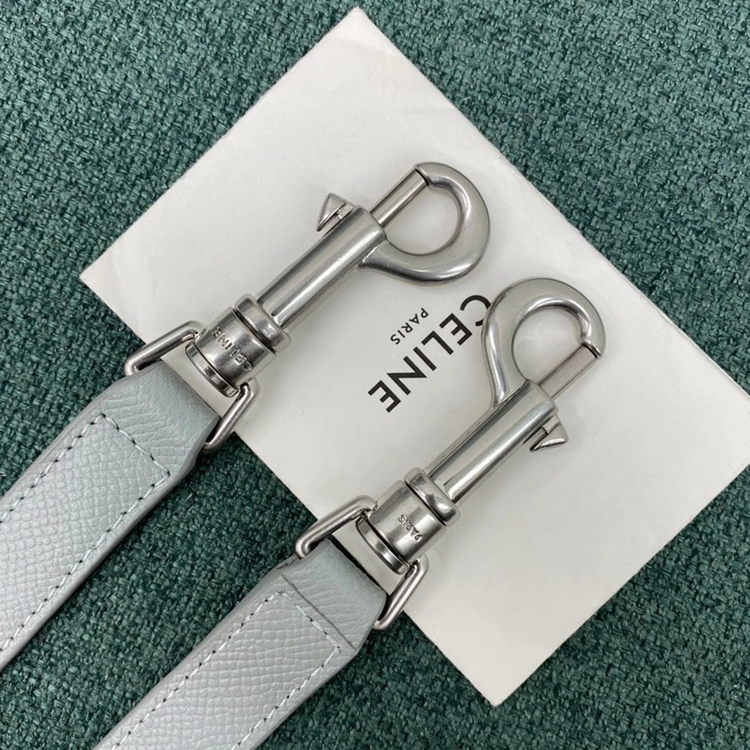 Celine Micro Belt Bag Replica in Mineral