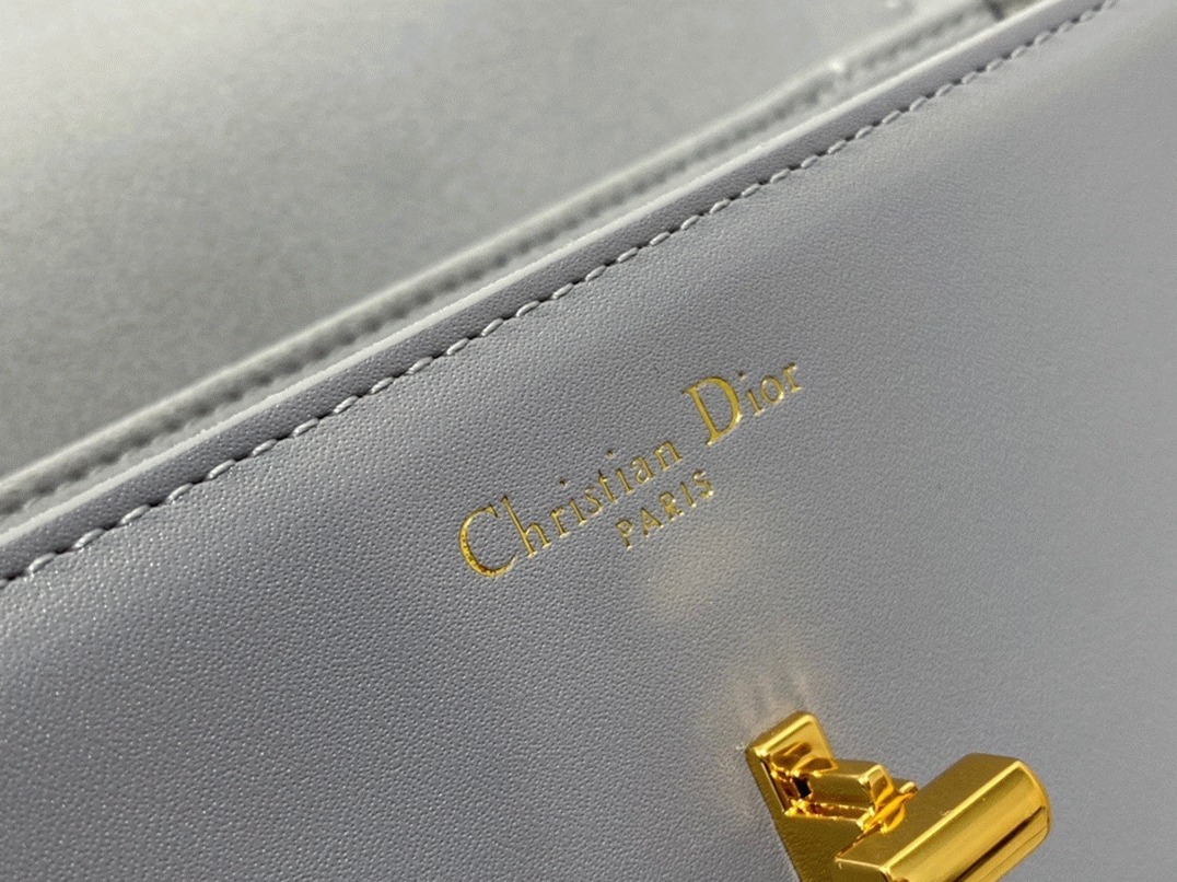 Dior 30 Montaigne Avenue Bag Replica in Grey Box Calfskin