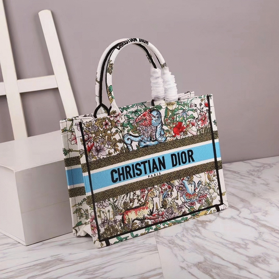 Dior Large Book Tote Bag Knockoff in Latte D-Constellation Embroidery
