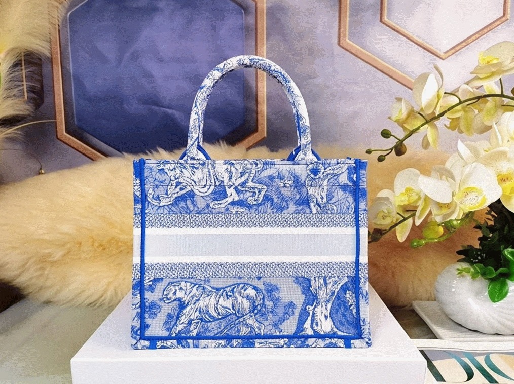 Dior Large Book Tote Bag Fake in Blue Transparent Toile de Jouy Canvas