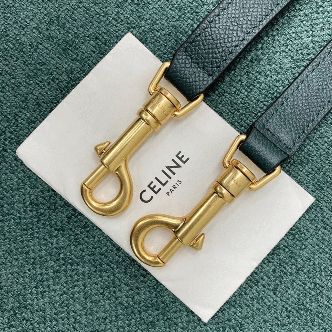 Celine Micro Belt Bag Fake in Amazone