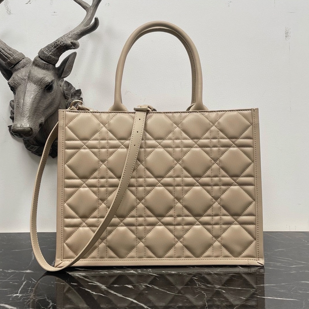 Dior Medium Book Tote Bag Fake with Strap in Beige