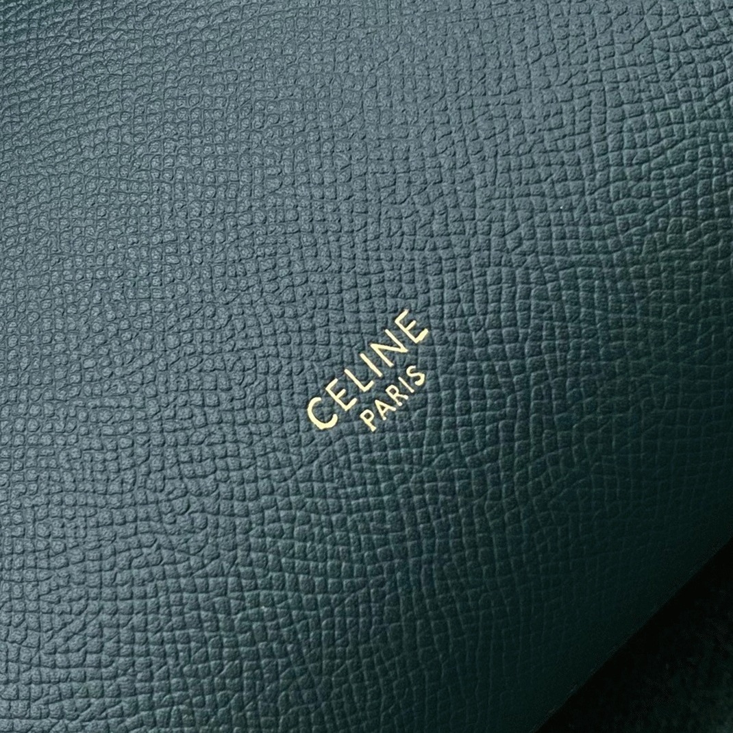 Celine Micro Belt Bag Fake in Amazone