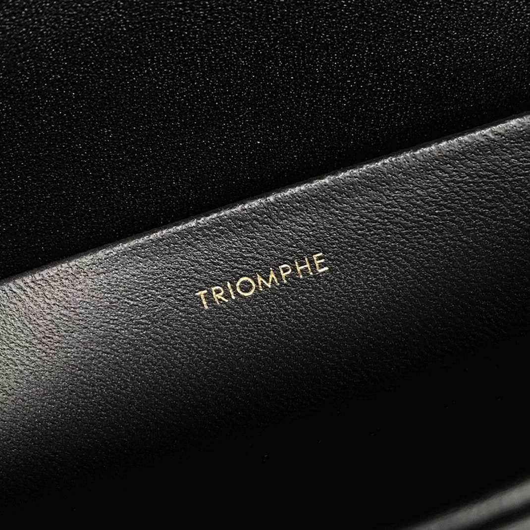 Top Quality Knockoff Celine Triomphe Large Bag In Black