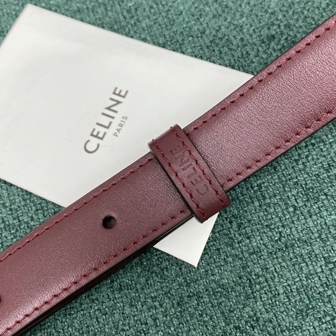 Top Quality Replica Celine Triomphe Medium Bag In Bordeaux