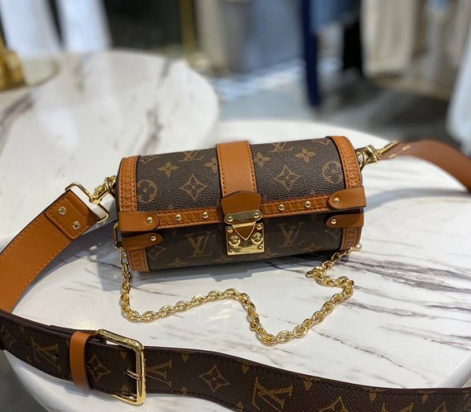 Louis Vuitton Monogram Canvas Papillon Trunk Bag