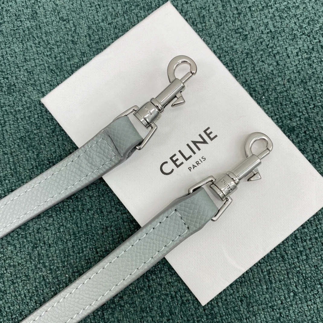 Celine Belt Nano Bag Replica in Mineral