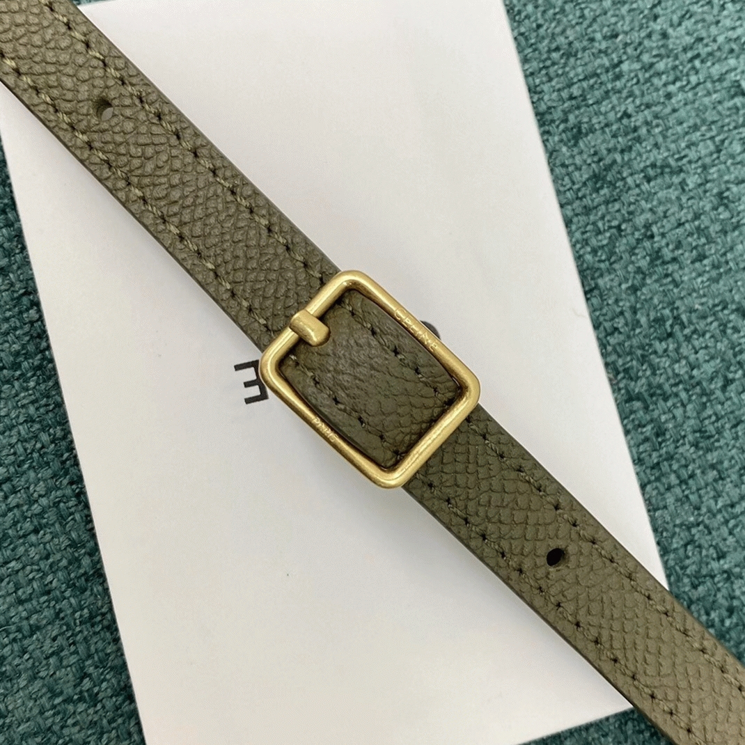 Celine Belt Nano Bag Fake in Army Green