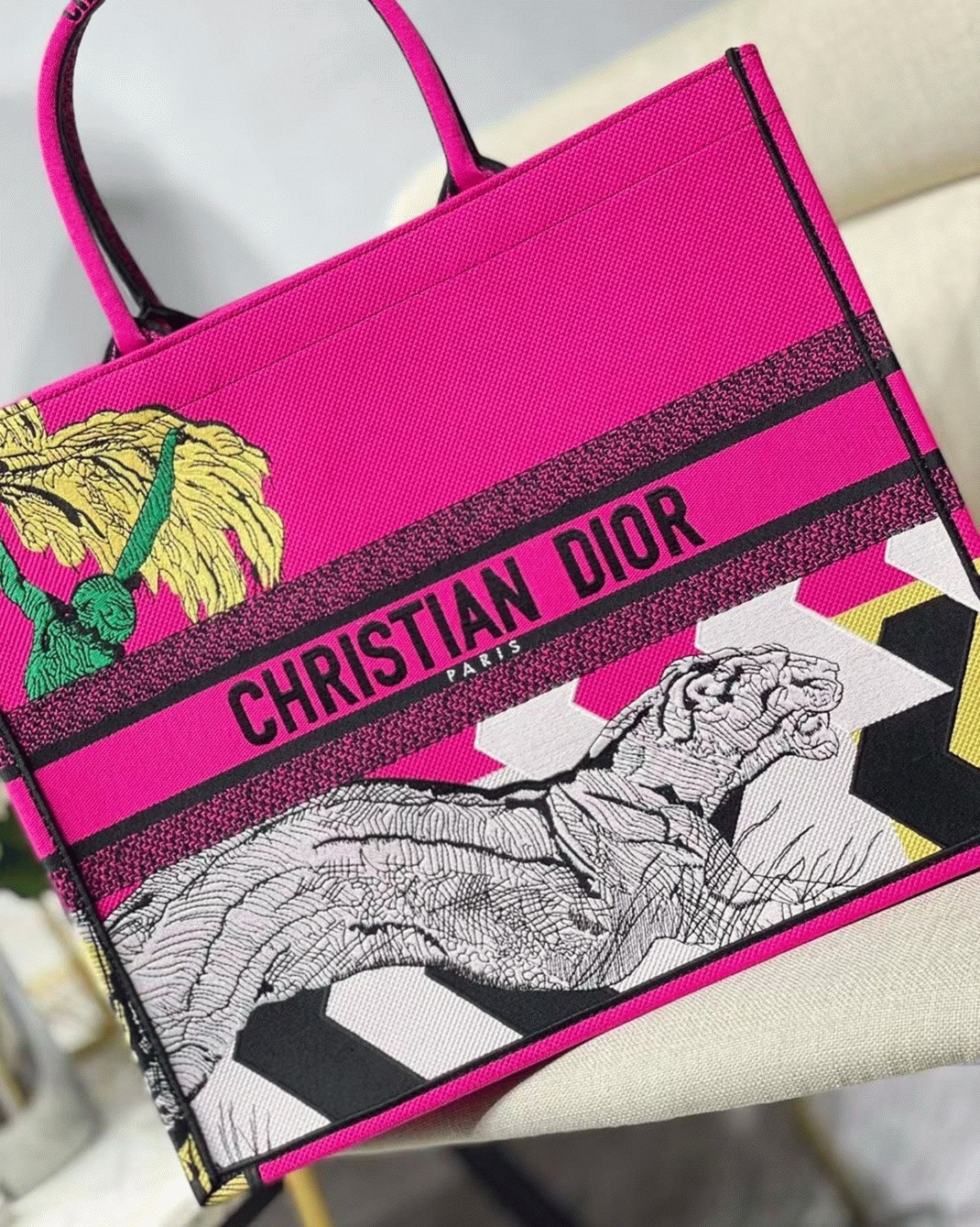 Dior Large Book Tote Bag Imitation in Toile de Jouy Zoom Pop Embroidery