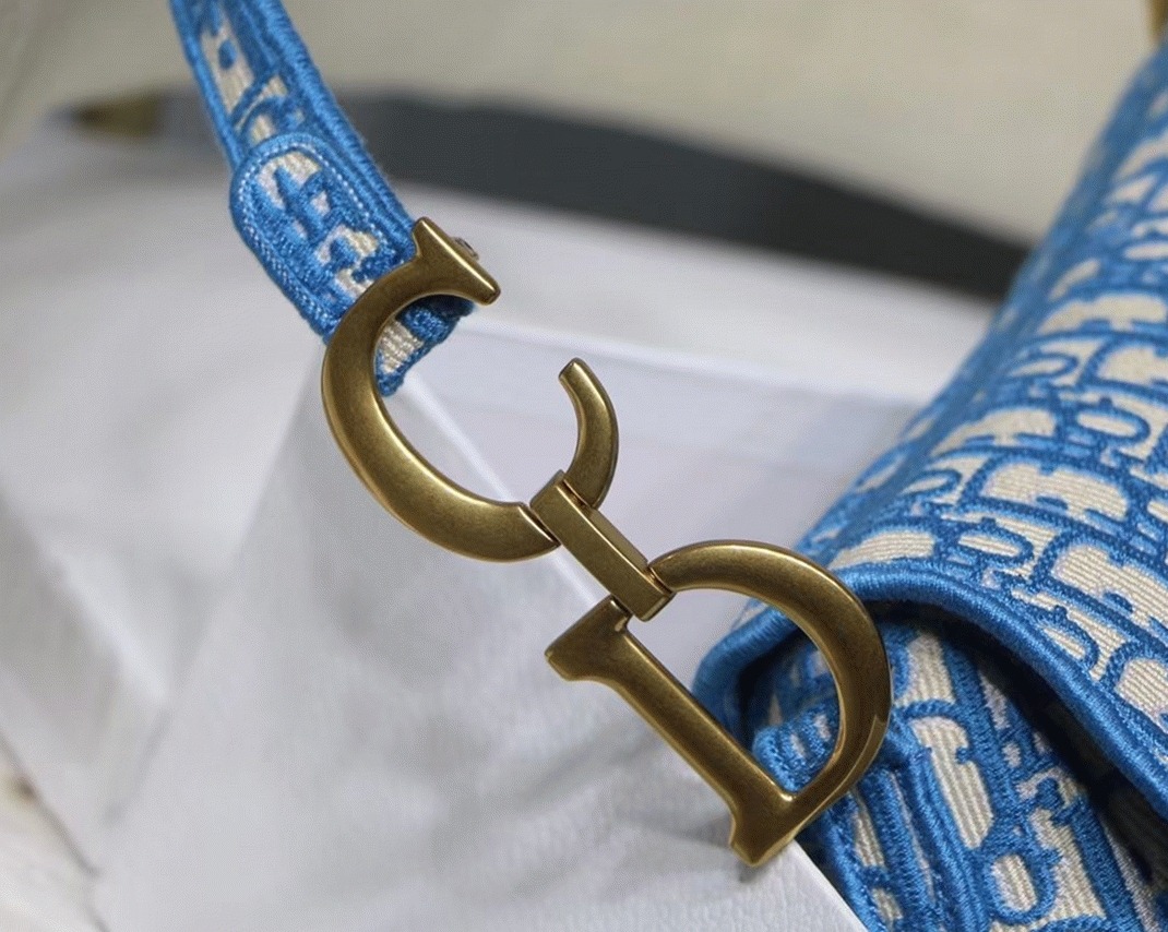 Dior Saddle Bag Fake in Cornflower Blue Dior Oblique Embroidery