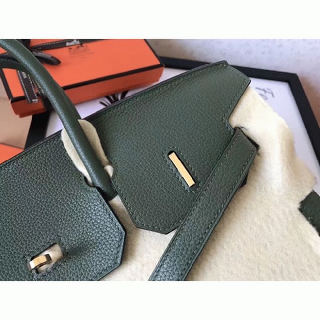 AAAAA Class Canopee Faux Hermes Birkin 30cm Purse