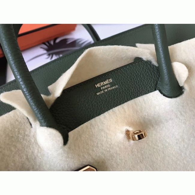 AAAAA Class Canopee Faux Hermes Birkin 30cm Purse
