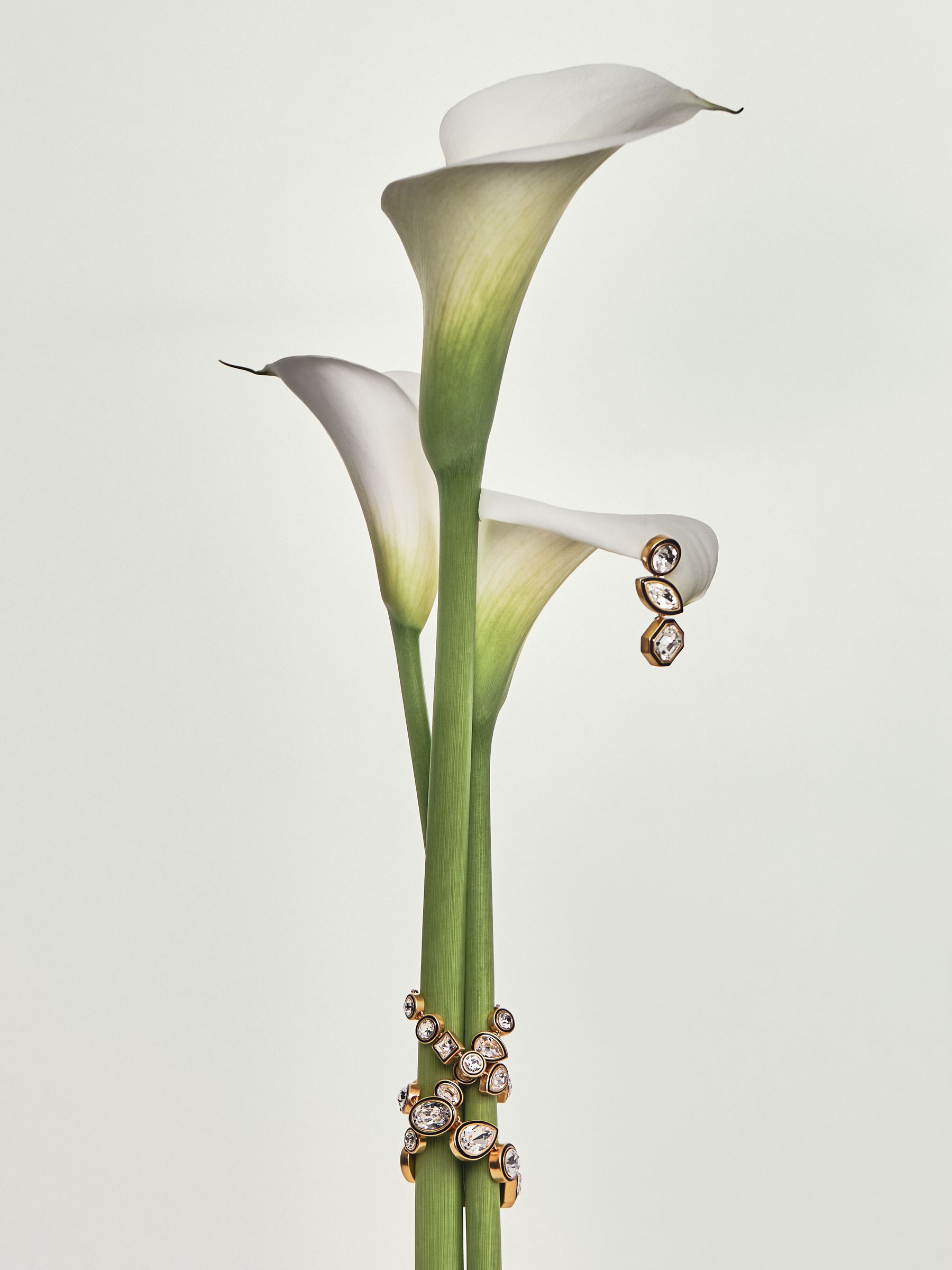 Crystal Drop Earrings in Gold