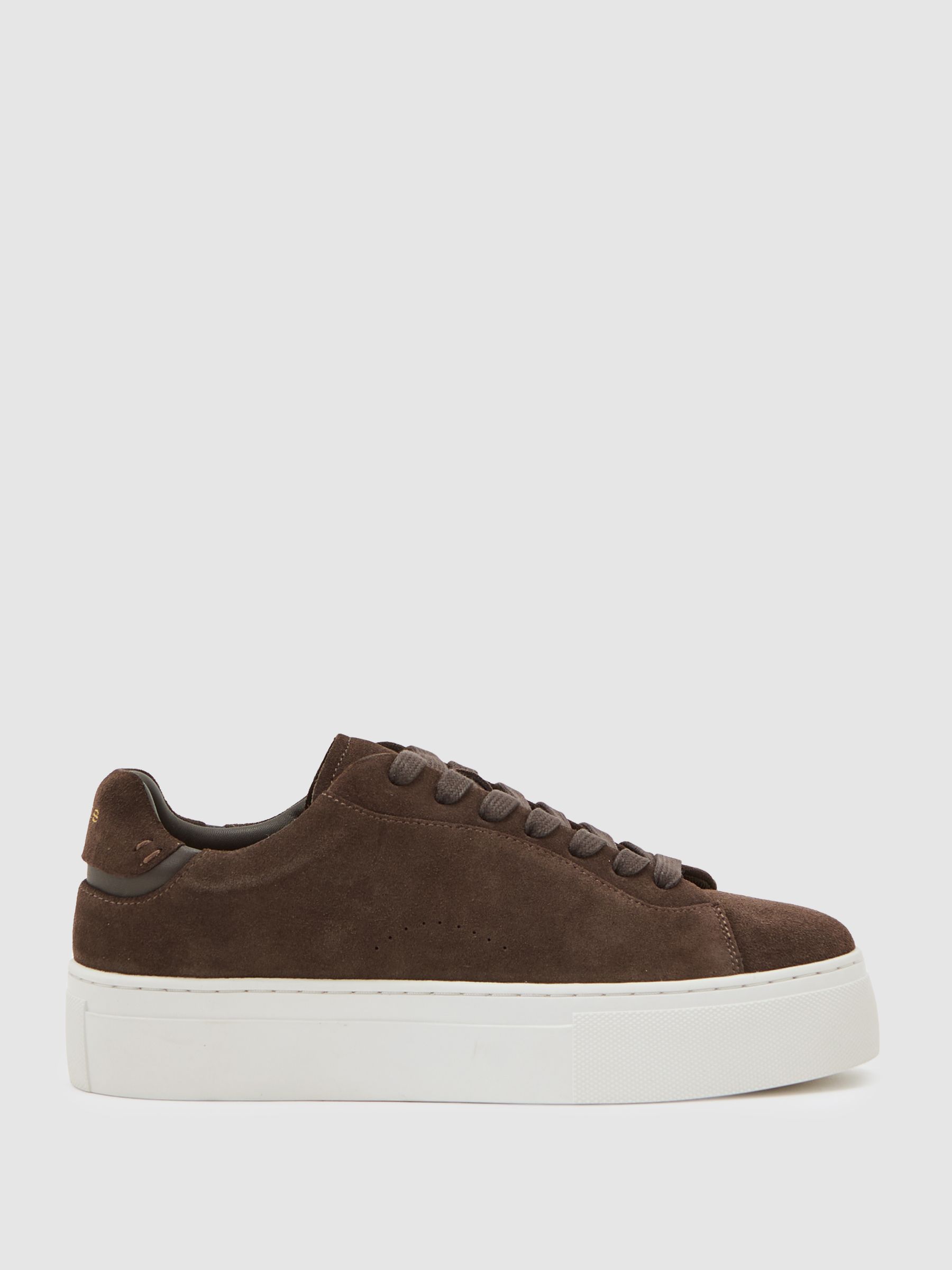 Leather Low-Top Trainers in Chocolate