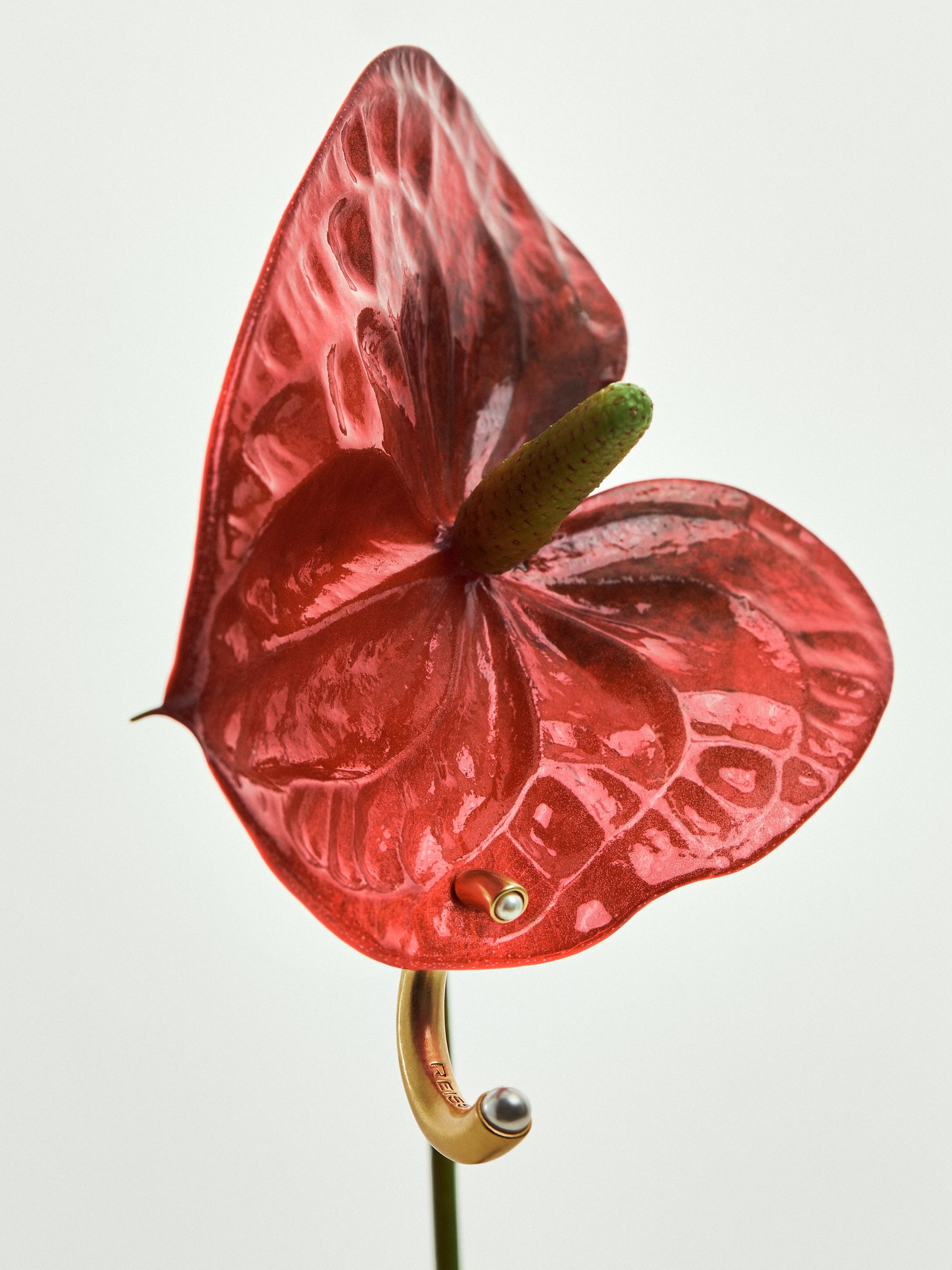 Tone Pearl Earrings in Gold