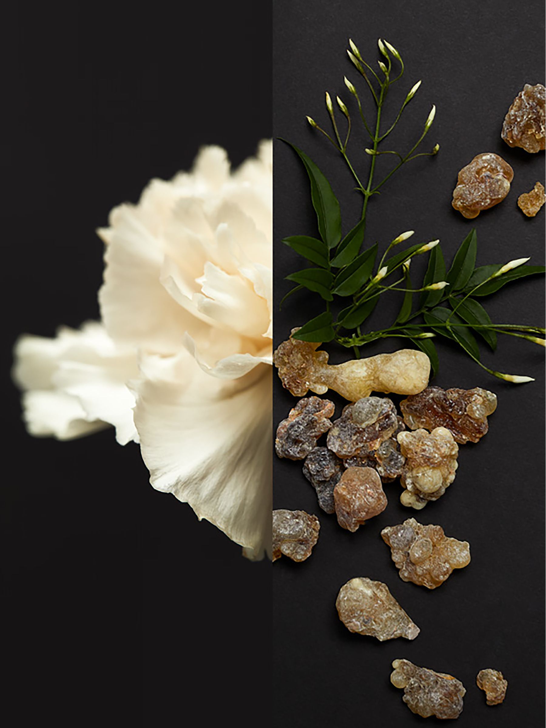 50ml Eau De Parfum in Black