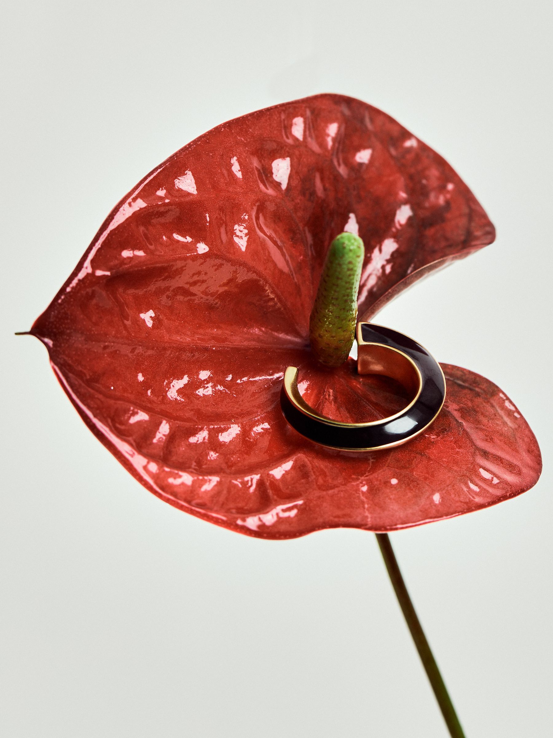 Tone Twist Enamel Hoop Earrings in Gold