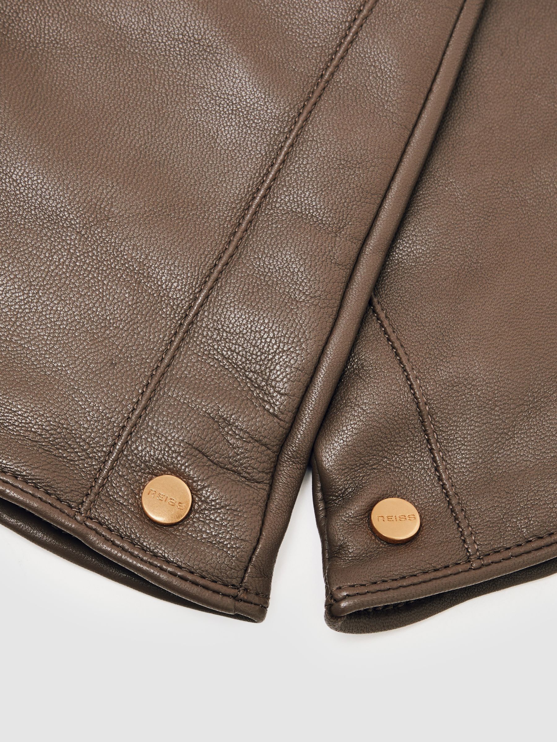 Long Leather Gloves in Taupe